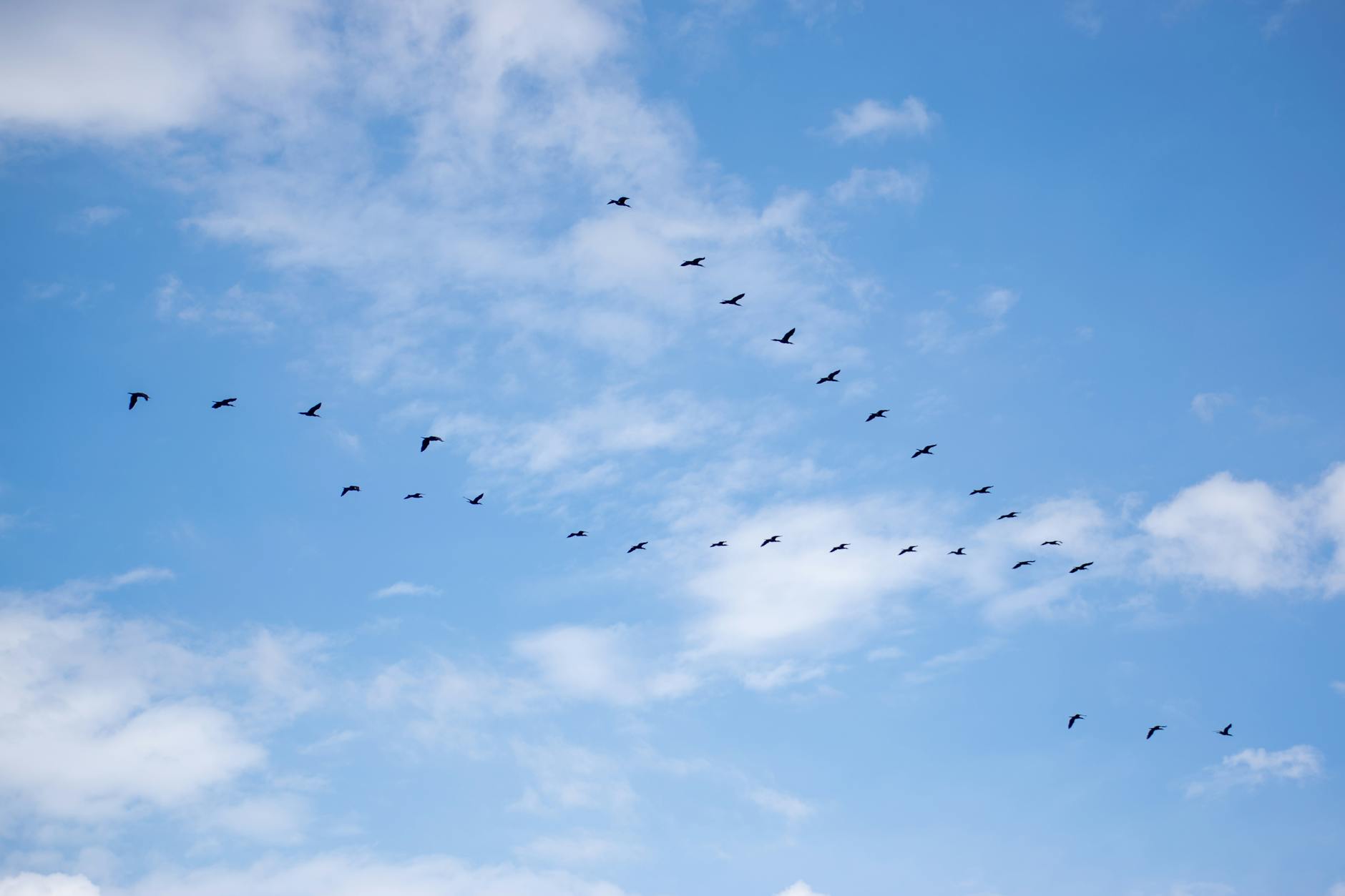 Read more about the article Cloud Migration Strategy: Complete 2026 Guide & Examples